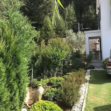 Mia *